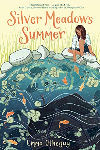 summer reading books cover silver meadows summer